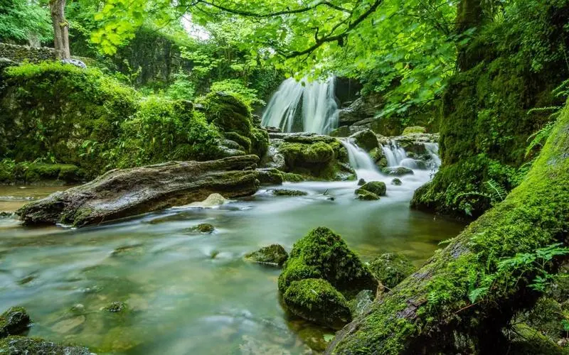 高效智能化高效